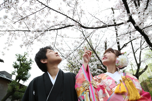 桜の季節の予約はお早めに！