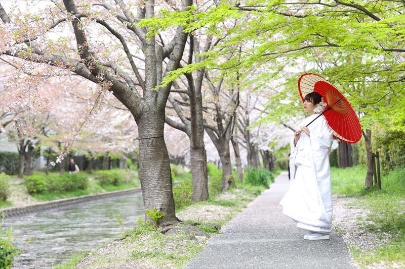 撮影料金「無料」の桜の名所で撮影
