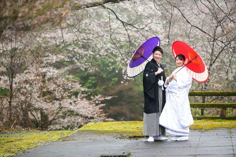 桜の名所「吉野」での前撮りプラン平日18万円（税込）