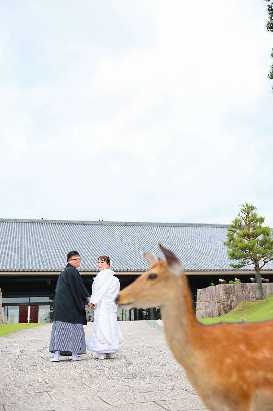 奈良公園フォトプラン（甍利用料金１.３万円～）